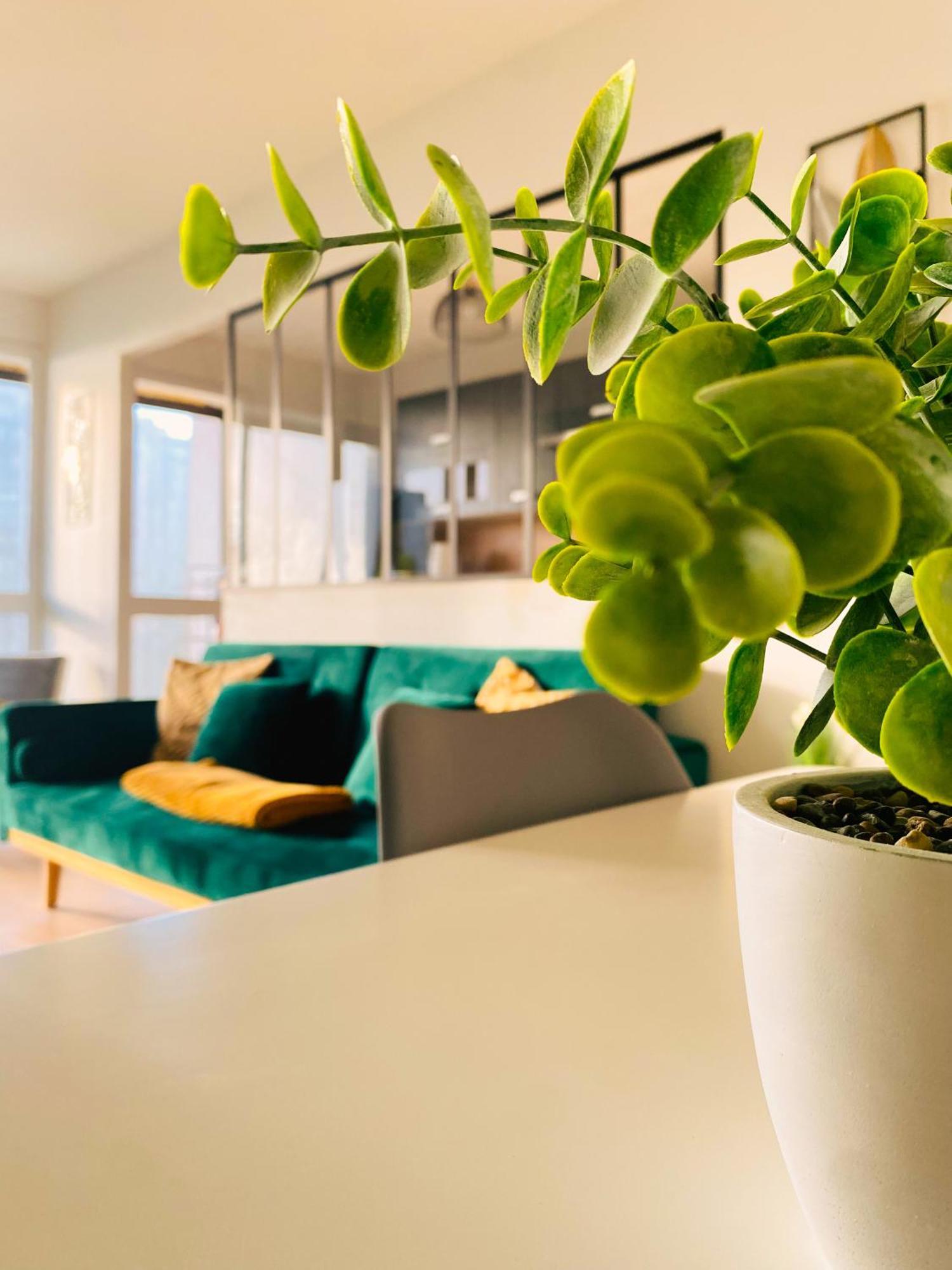 Spacieux Appartement Lumineux เบรสต์ ภายนอก รูปภาพ